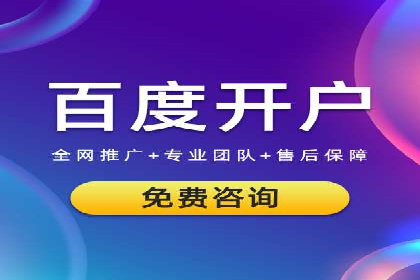 某品牌通过SEM关键词实现品牌推广的实战案例